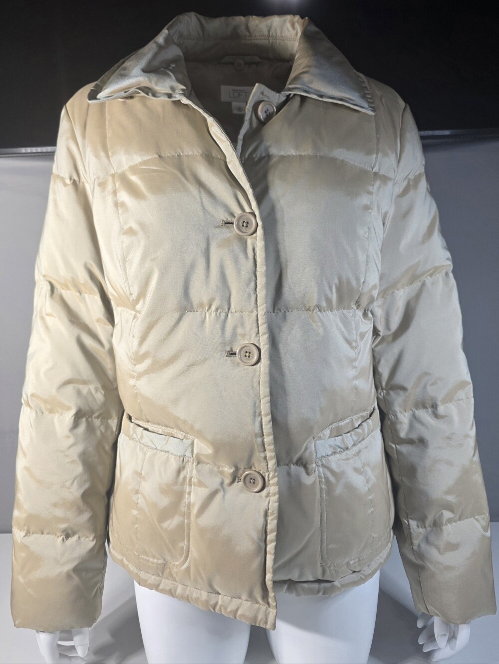Ann Taylor Loft Iridescent Down-Filled Puffer Jacket Size M